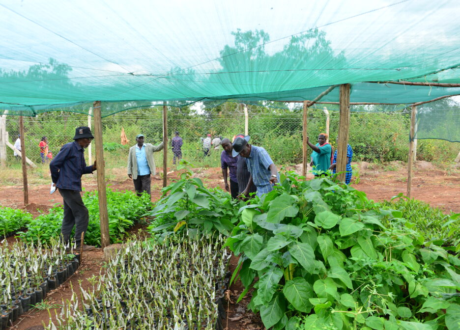 FOOD SECURITY & CLIMATE CHANGE (FOSECC)